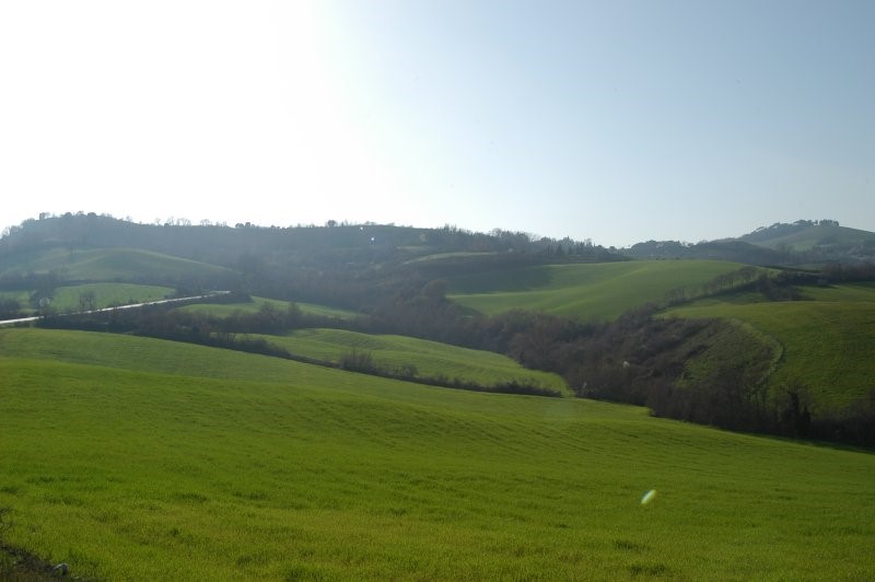 BIBBONA CAMPAGNA